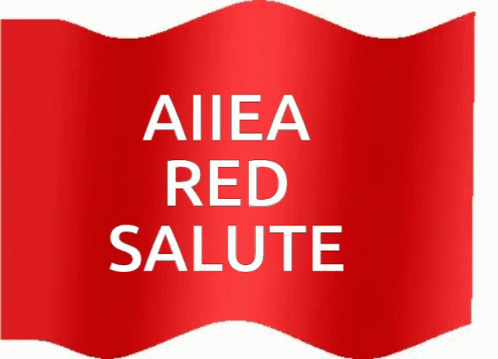Aiiea Red Flag Salute GIF