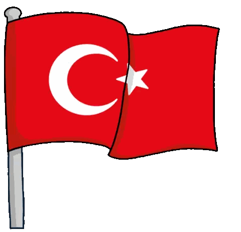 Red Flag With Crescent Moon and Star