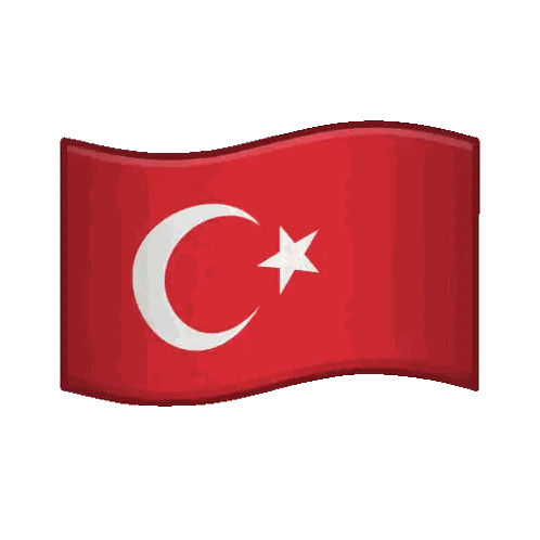 Red Flag With Crescent Moon and Star