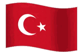 Red Flag With Crescent Moon and Star