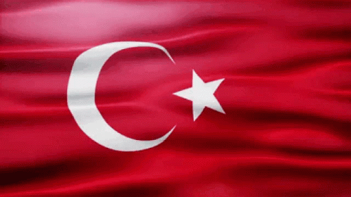 Red Flag With Crescent Moon And Star GIF