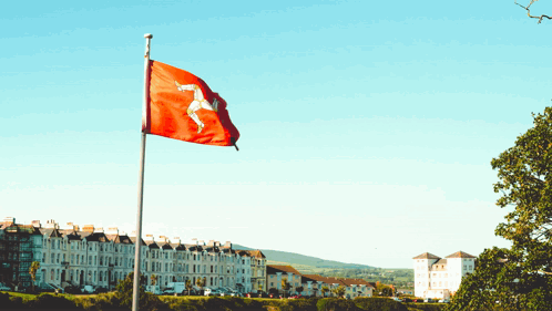 Red Flag With White Horse Waving in Wind