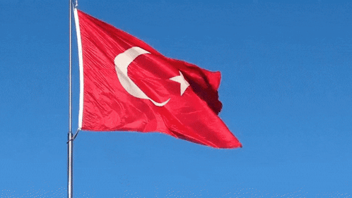Red Flag With White Star And Crescent Moon GIF