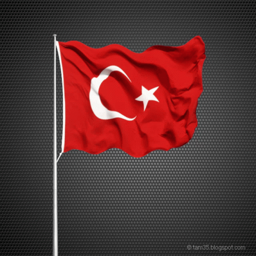 Red Flag With White Star And Crescent Moon GIF