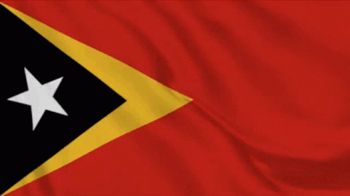 Red Flag With Yellow Triangle and Black Star