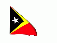 Red Flag with Yellow Triangle and White Star