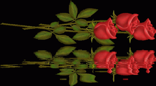 Red Flores Water Reflection GIF