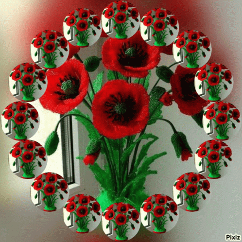 Red Flower Bouquet In Circle Of Red Flowers With Pixiz GIF