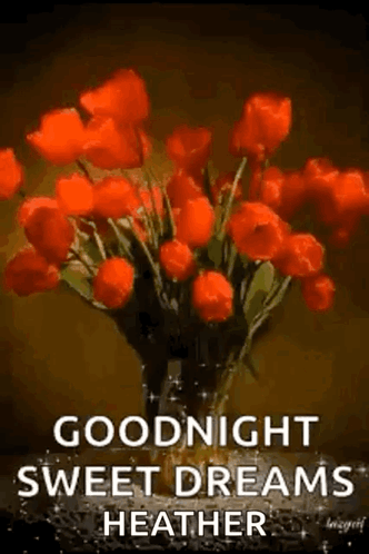 Red Flower Bouquet With Goodnight Message GIF