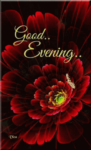 Red Flower Butterfly Saying Good Evening