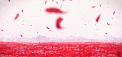 Red Flower Field With Mountains In Distance GIF