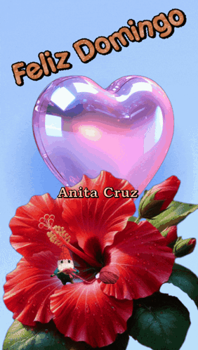 Red Flower Heart Feliz Domingo Anita Cruz GIF
