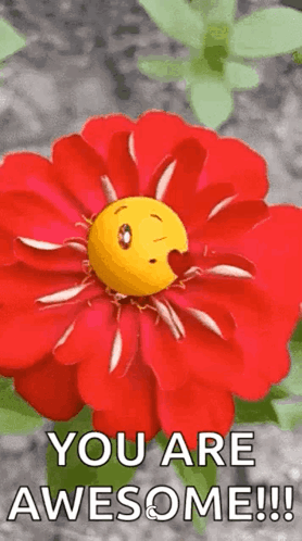 Red Flower Smiley Flaming Text You Are Awesome GIF