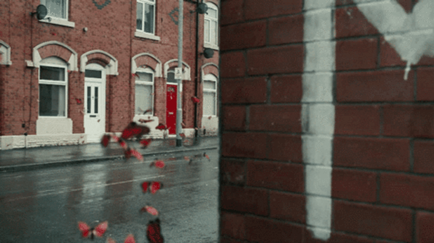 Red Flying Butterfly Buildings GIF
