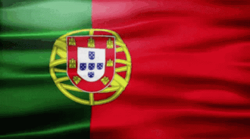 Red Green And Yellow Flag With White Shield GIF
