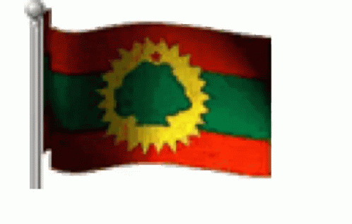 Red Green Yellow Flag With Yellow Sun