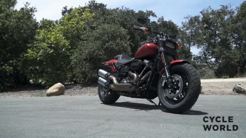 Red Harley Davidson Motorcycle On Roadside GIF