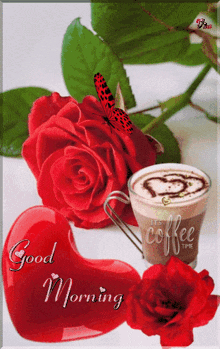 Red Heart Good Morning
