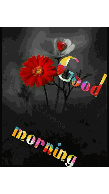 Red Heart Pillow Saying Good Morning