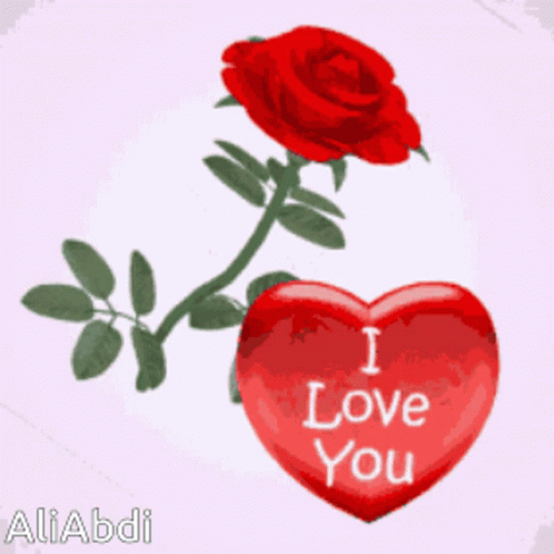 Red Heart Saying I Love You Next To Red Rose GIF