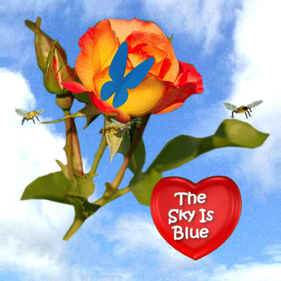 Red Heart Saying the Sky is Blue Beside Flower