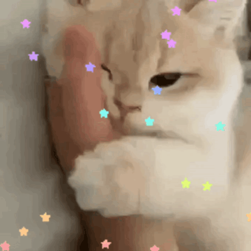 Red Heart Saying You're So Sweet GIF