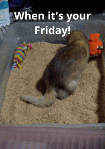 Red Heart Sending Great Friday Wishes To Friends GIF