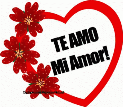 Red Heart Te Amo Mi Amor