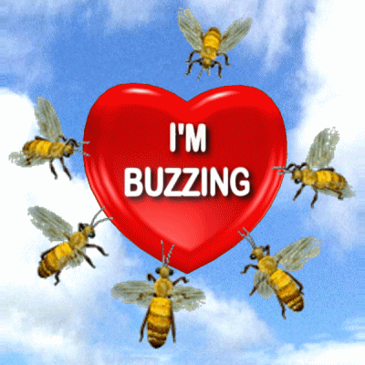 Red Heart With I'm Buzzing Surrounded By Bees GIF