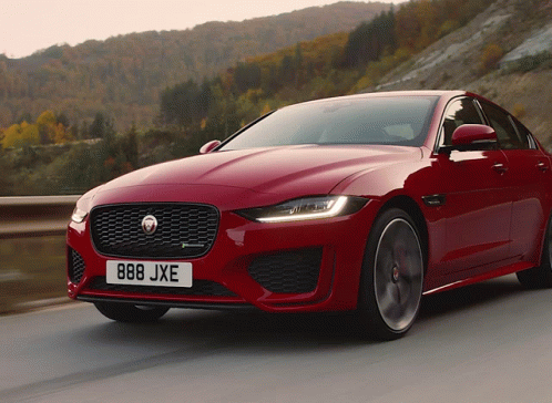 Red Jaguar Car With License Plate 888Jxe GIF