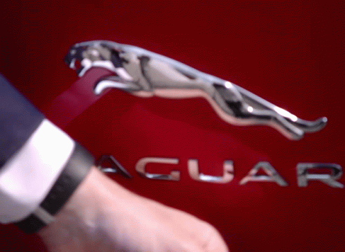 Red Jaguar Car With Silver Jaguar Logo