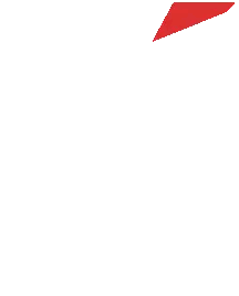 Red Lightning Bolt with Star