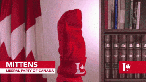 Red Mitten With Letter L in Front of Bookshelf