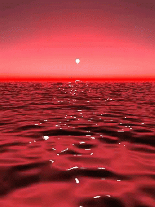 Red Ocean Sunset GIF