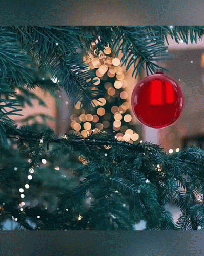 Red Ornament On Christmas Tree GIF