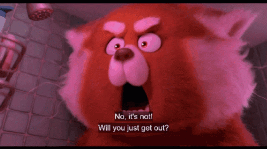 Red Panda Infuriated Turning Red