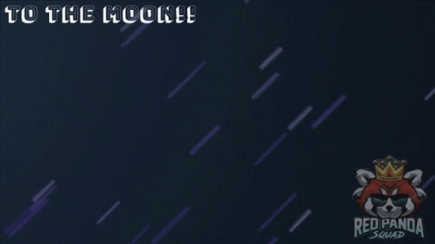 Red Panda Squad Rocket Launch GIF