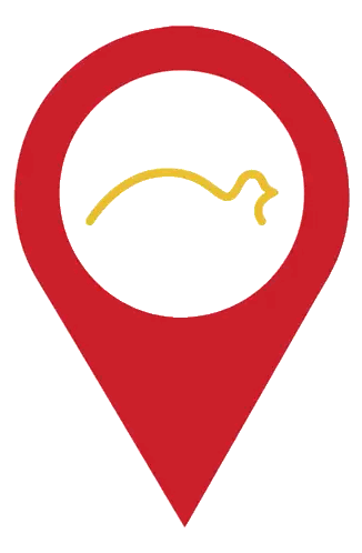 Red Pin With Yellow Bird