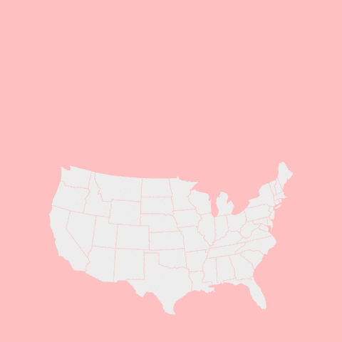 Red Pocket Mobile Poster Map of United States