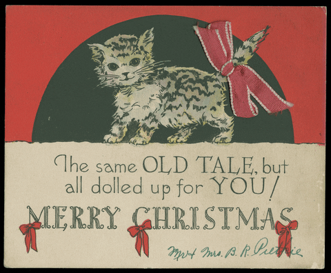 Red Ribbon Merry Christmas Cat GIF