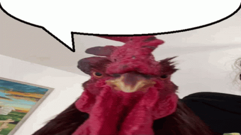 Red Rooster With Speech Bubble GIF