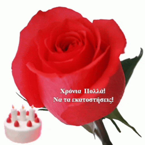 Red Rose and Cake With Candles