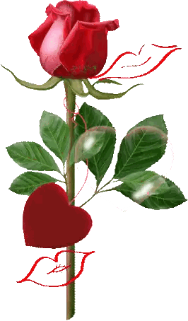 Red Rose and Hearts with Love