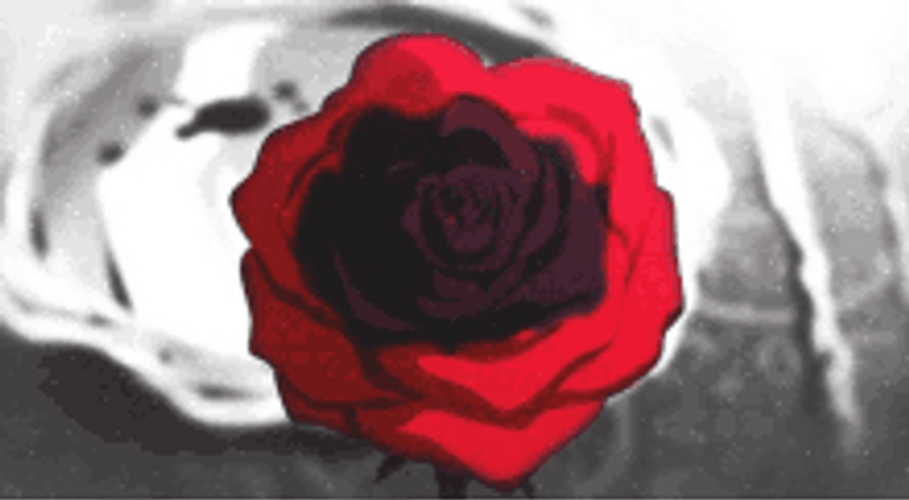 Rose Token (anime) | Yu-Gi-Oh! Wiki | Fandom