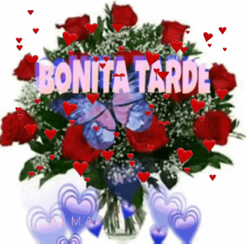 Red Rose Bouquet in Vase Bonita Tarde