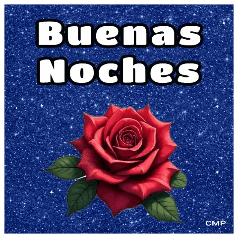 Red Rose Buenas Noches