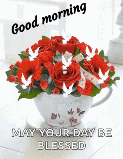 Red Rose Good Morning Have A Blessed Day GIF
