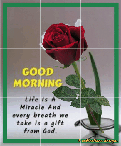 Red Rose Good Morning GIF