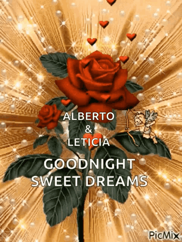 Red Rose Goodnight Sweet Dreams