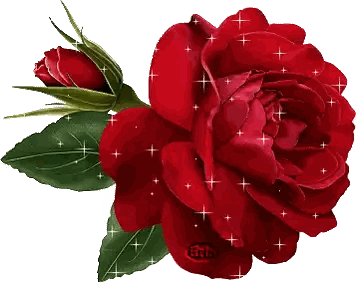 Red Rose Green Stem Leaves Watermark Girl
